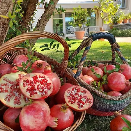 Relais Maddalene101 Farm stay Vicenza