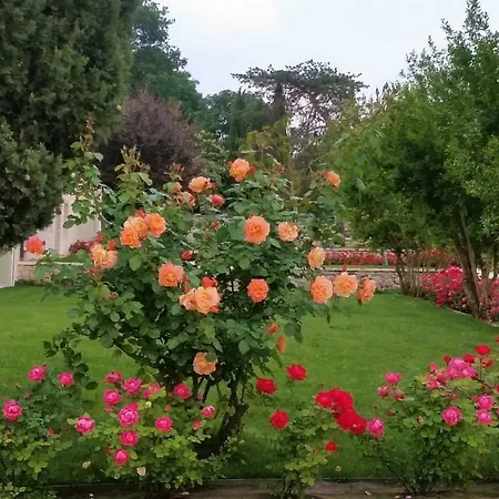 Relais Maddalene101 Farm stay Vicenza