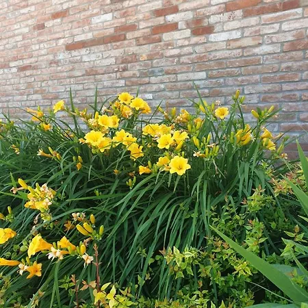 Relais Maddalene101 Farm stay Vicenza