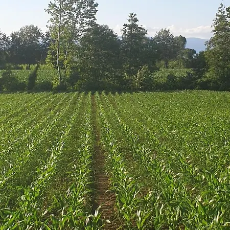 Farm stay Relais Maddalene101